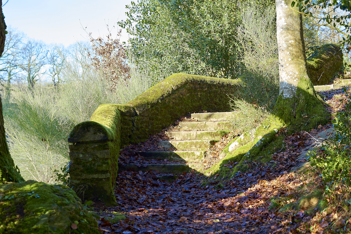 fontaine-daniel-mayenne-en-ligne